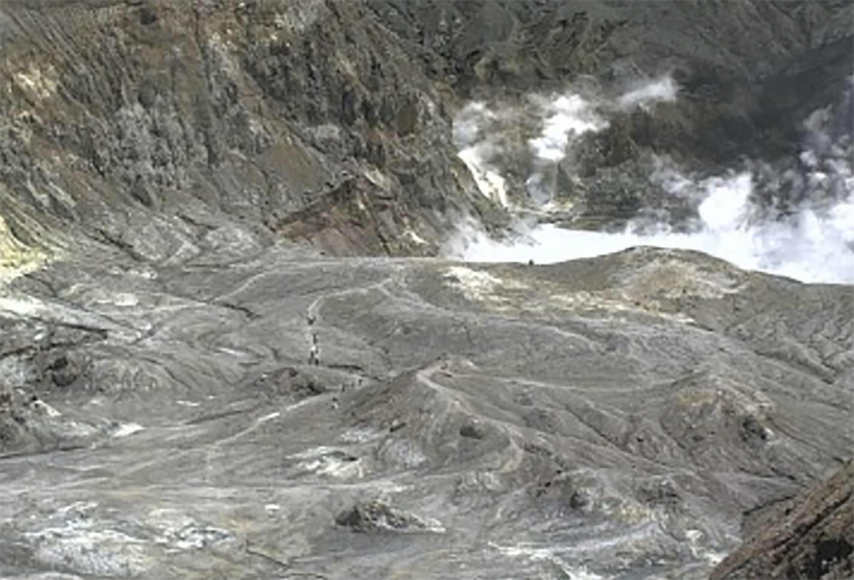 New Zealand Volcano Erupts